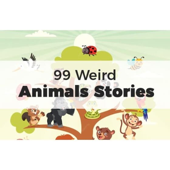 99 Weird Animals Stories – eBook with Resell Rights